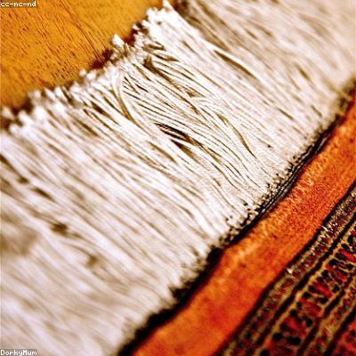 Rugs & Carpets